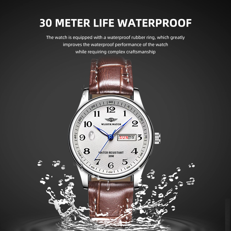 WLISTH Luxus Marke herren Uhr  – Zen Luxury Watch Bewertung und Preis